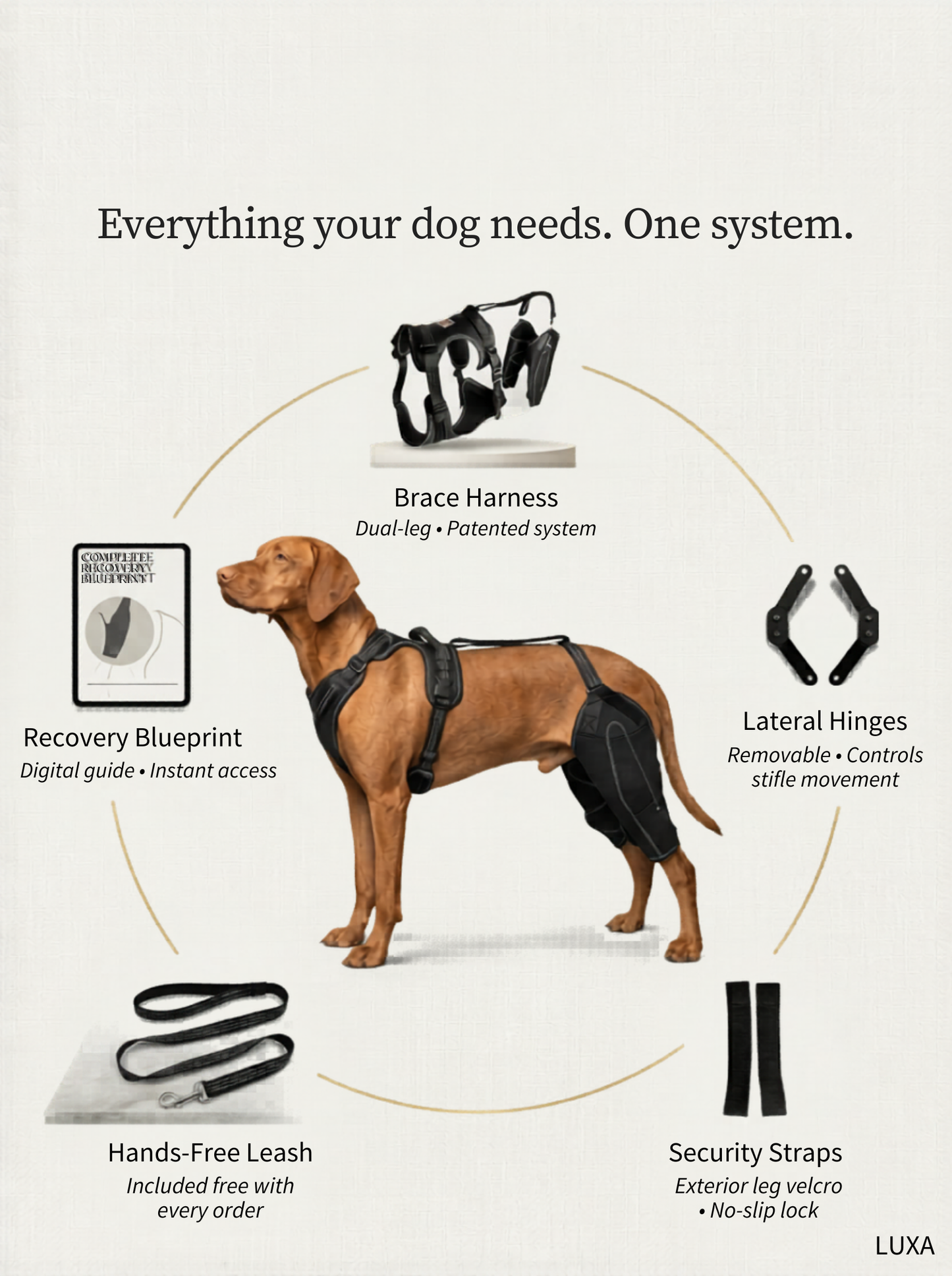 LUXA™ Dual-Hinge Knee Brace