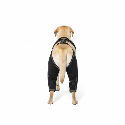 LUXA™ Dual-Hinge Knee Brace