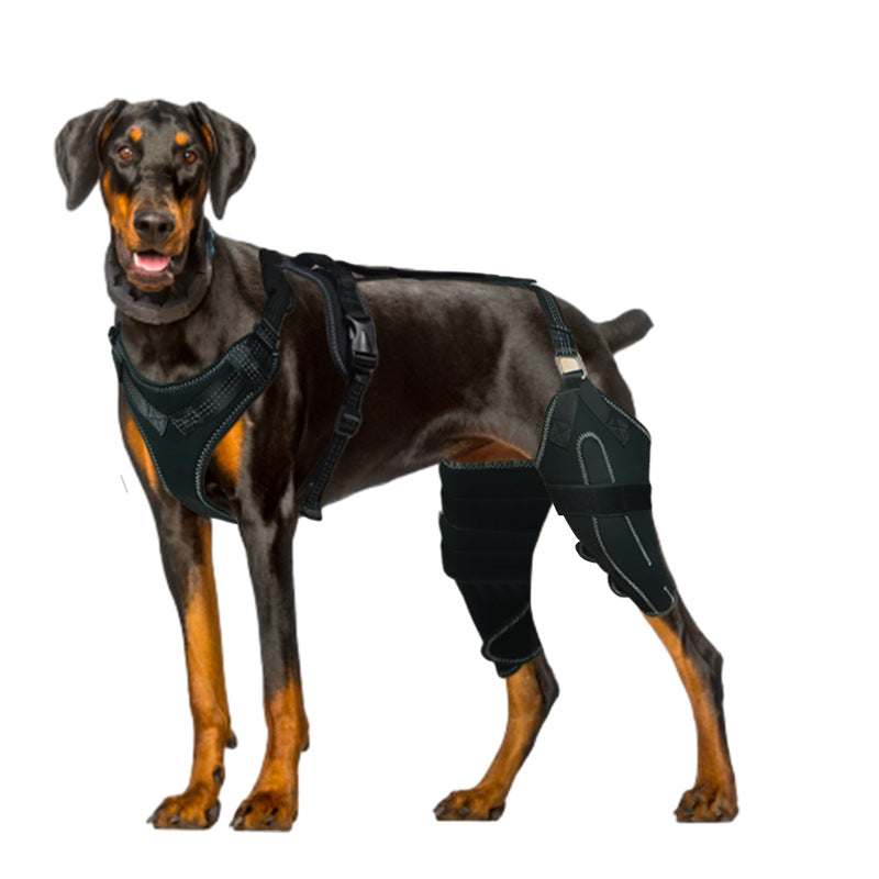 Adjustable Dog Hind Leg Brace with Metal Support